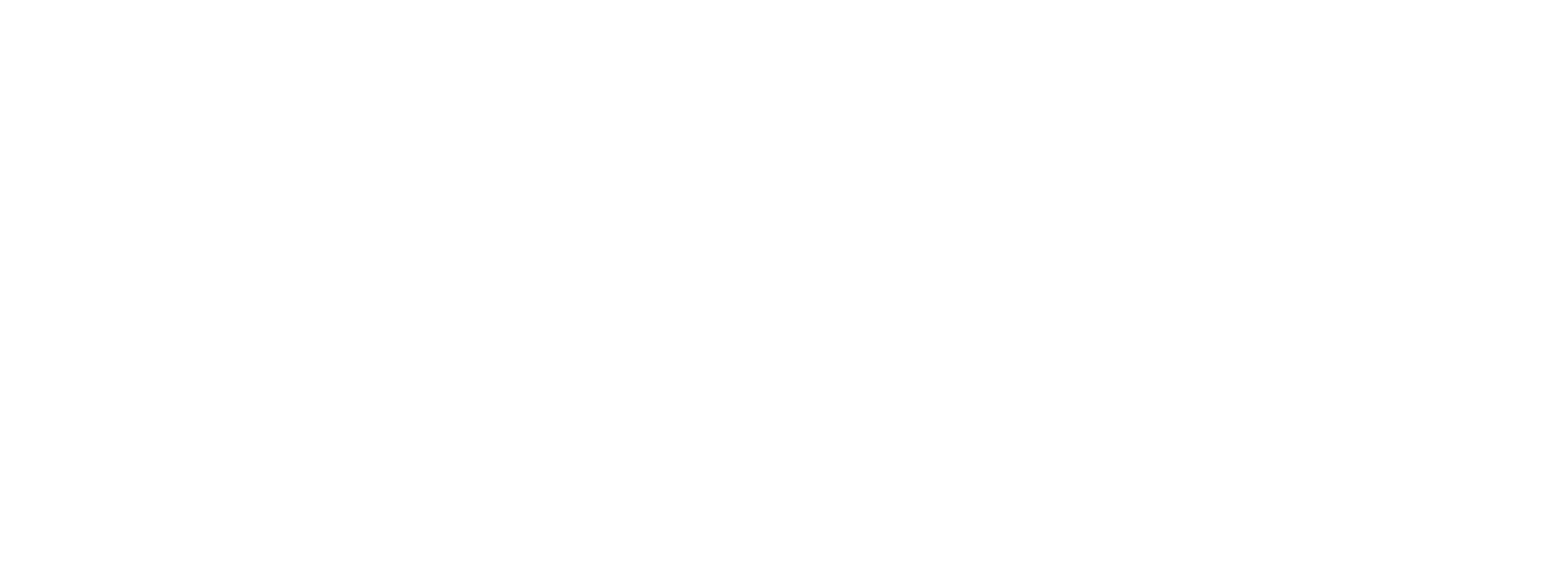 PaigeWagnerLogoWhite@4x